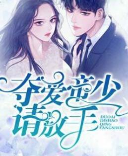 女主林辛言男主宗景灏