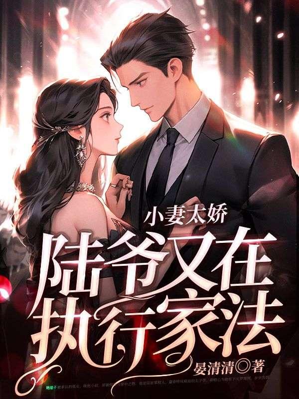 小妻太娇,陆爷又在执行家法的小说