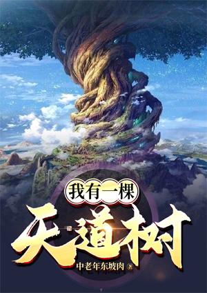 我有一棵天道树免费在线阅读
