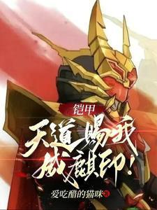 铠甲:天道赐我威麒印