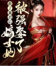 初棠司徒瑾琰小说叫什么名字