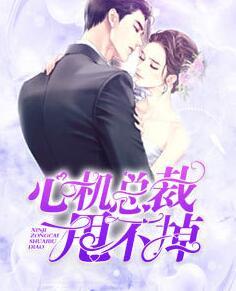 心机总裁甩不掉