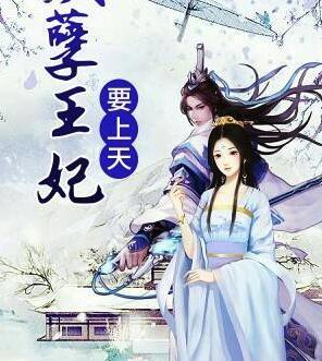 权宠王妃不消停