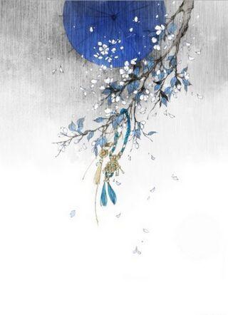 白清凌韩染墨小说全文免费阅读