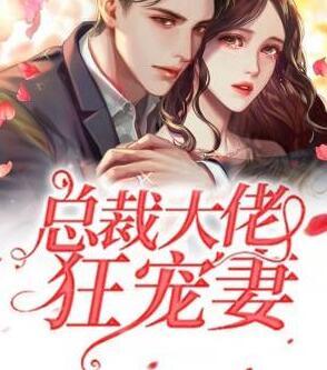 总裁大佬狂宠妻