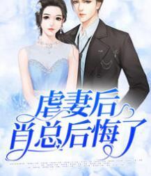 虐妻后肖总后悔了